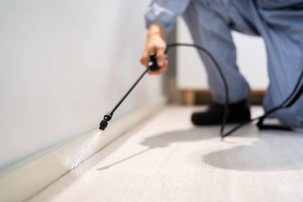 Licensed Cockroach Control service in Fairbury, IL - Nex Pest Control