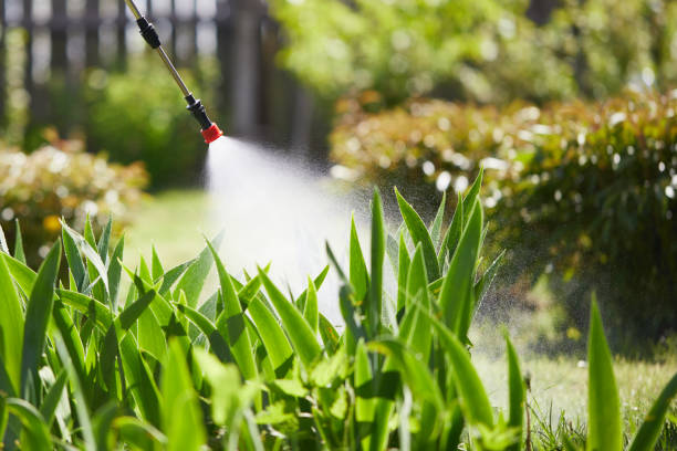 24/7 Emergency Cockroach Control experts in Fairbury, IL