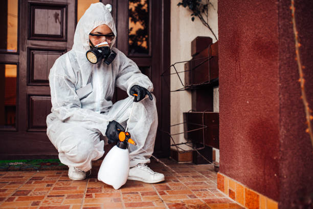 Reliable Cockroach Control contractor in Fairbury, IL by Nex Pest Control