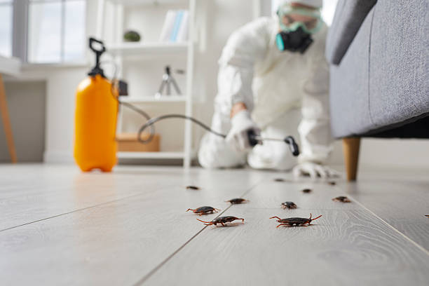 Affordable Cockroach Control solutions in Fairbury, IL